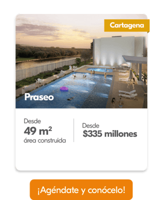 25 Praseo-8